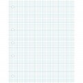 Warwick 14j5 5mm Quad Loose Leaf Refill 255 X 205mm 40 Leaf