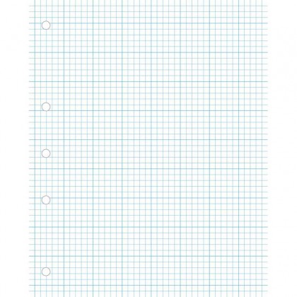 Warwick 14j5 5mm Quad Loose Leaf Refill 255 X 205mm 40 Leaf
