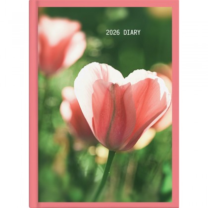 2026 Collins A51 Diary (day To Page) Floral Assorted