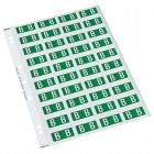 Codafile Label Alpha B 25mm 1 Sheet