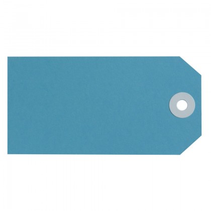 Shipping Tags No.4 54 X 108mm Blue Bx/50
